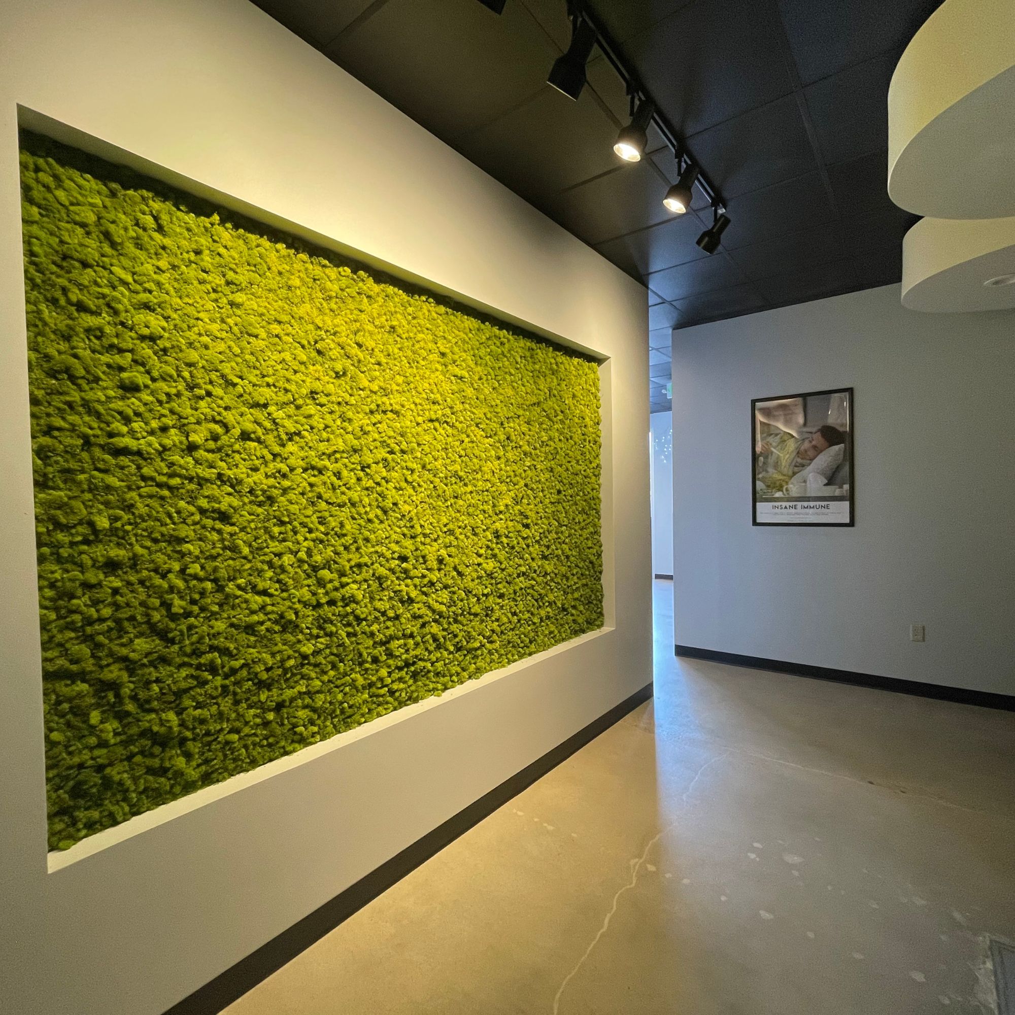 A wall of moss in an office, enhanced by drip hydration.